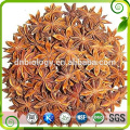 Pure Natural Illicium verum Hook extract, Star anise Extract, Shikimic Acid 98%